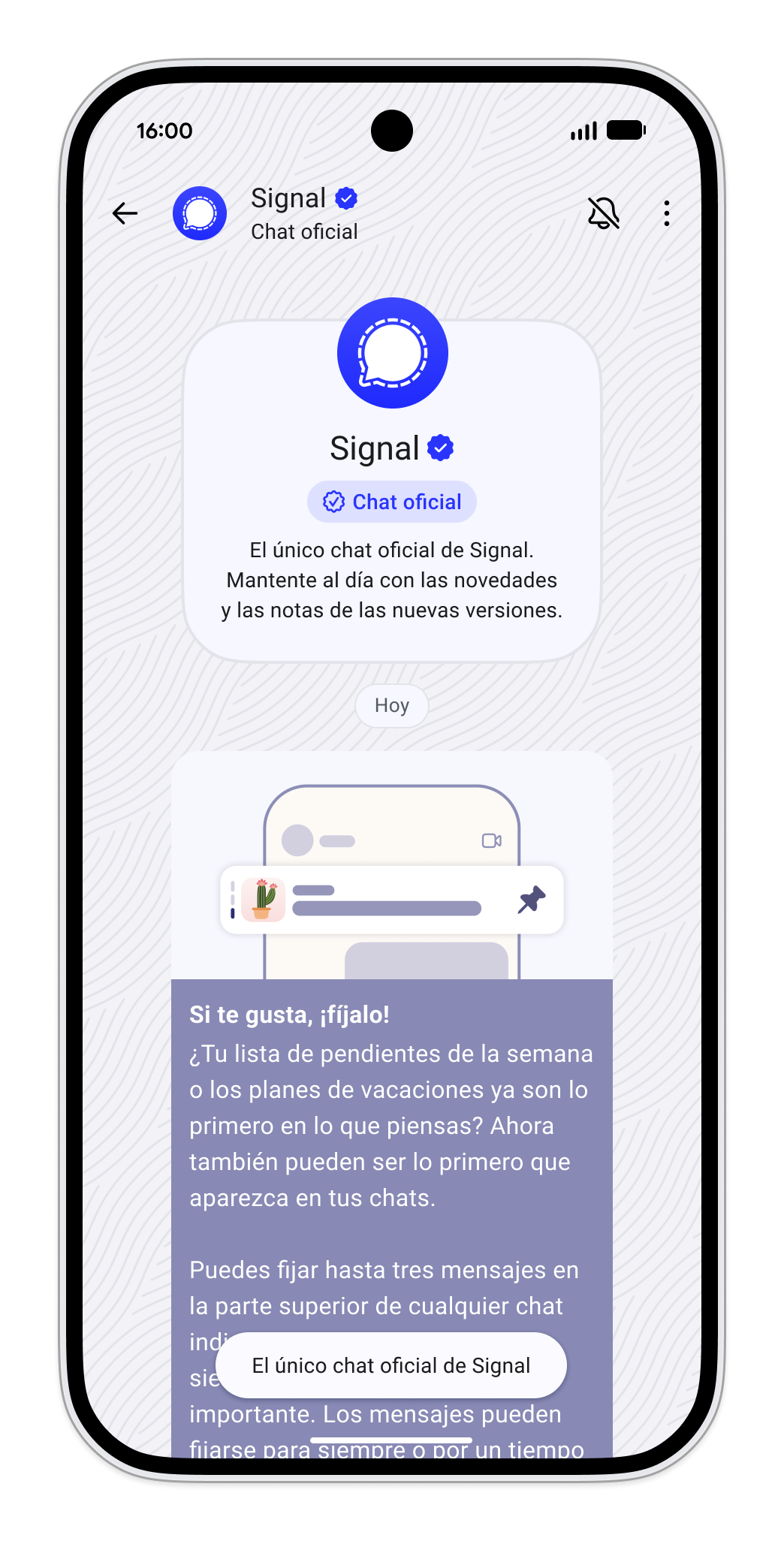 Signal-OfficalChat_en-us.png