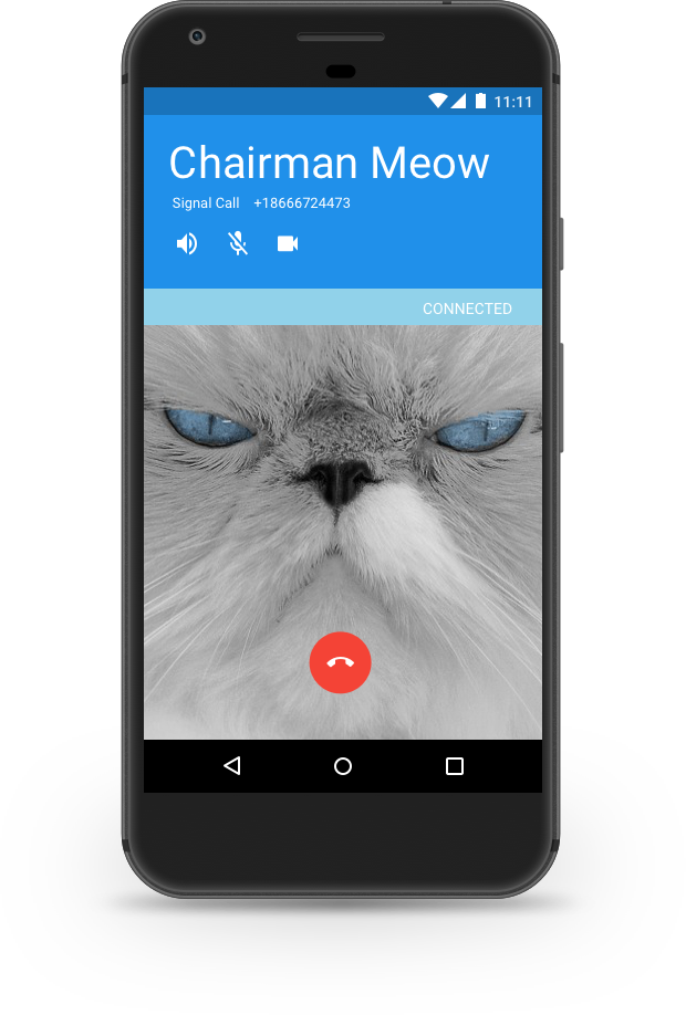 android_call_screen.png