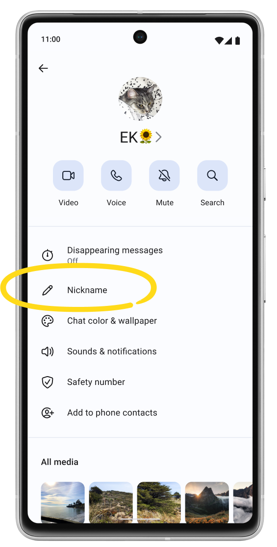 Nickname Settings.png