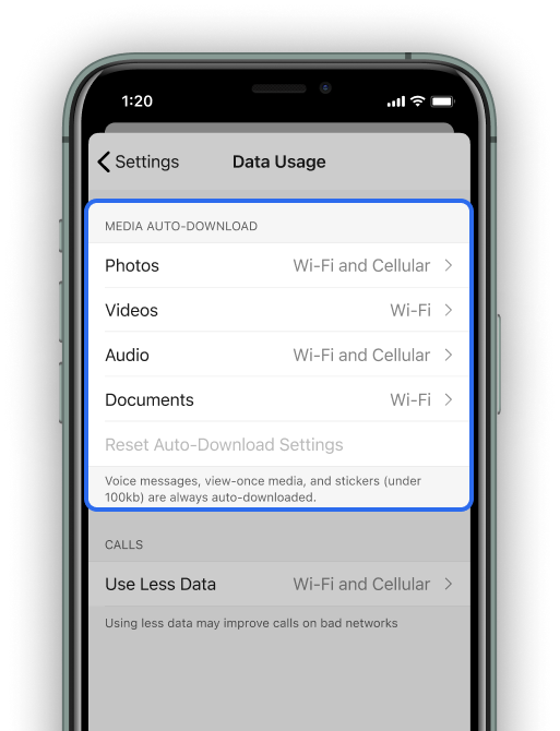 ios-data-media.png
